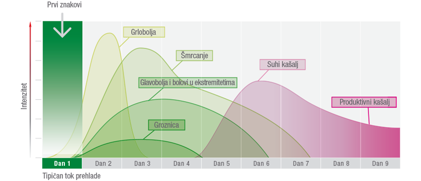 cold processing graphic English 72 dpi