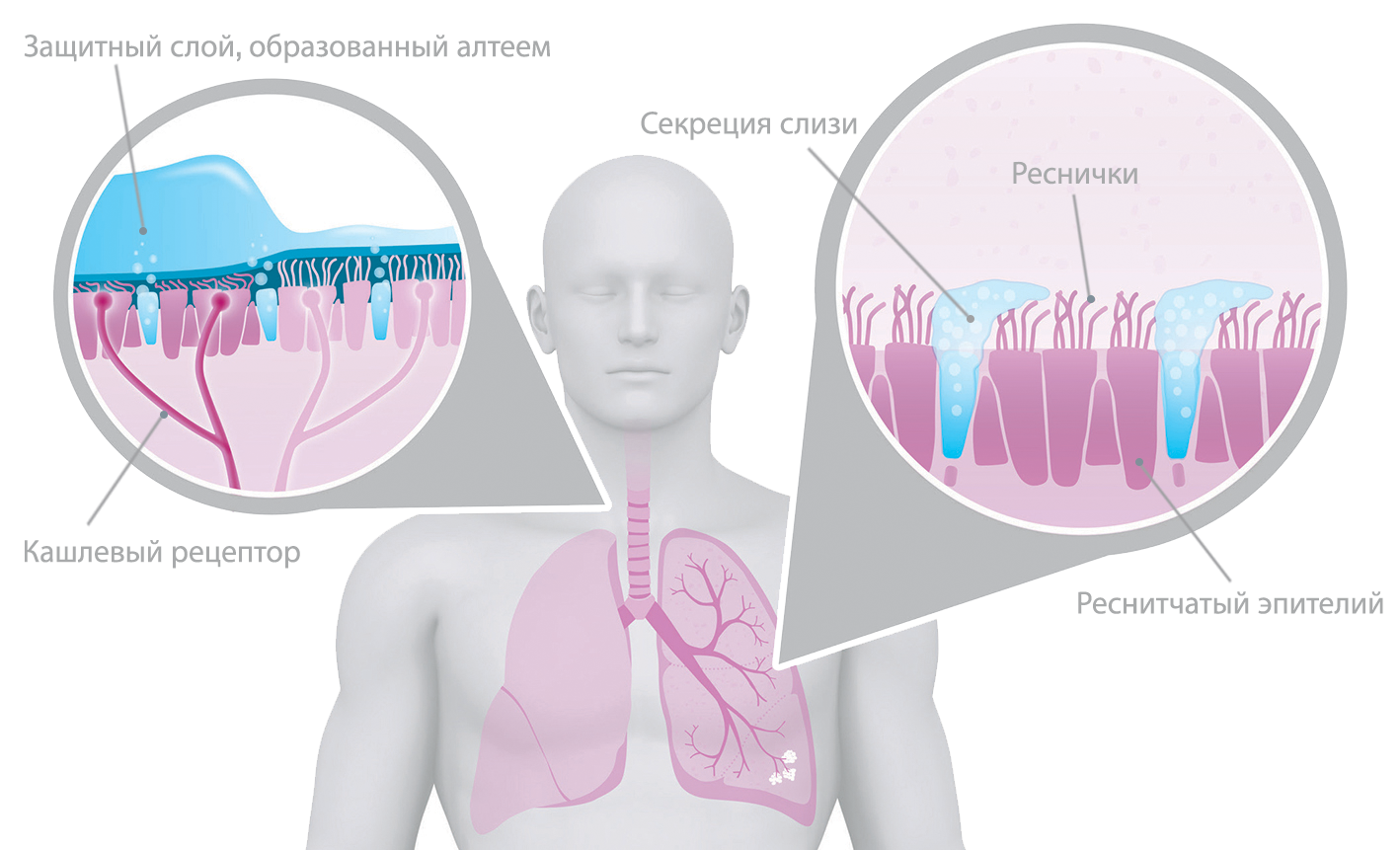 illustration lung effects