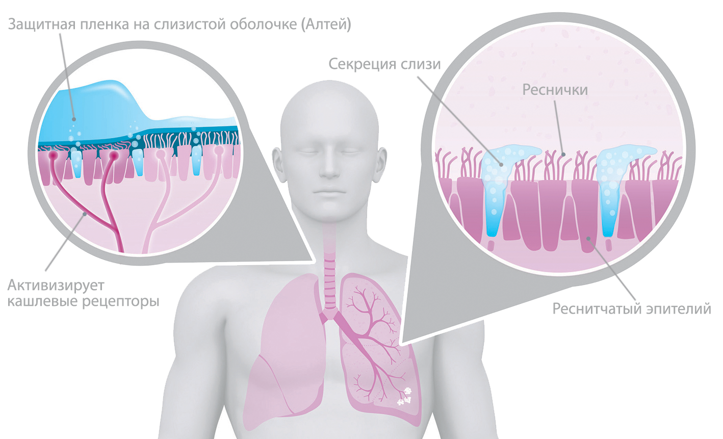 illustration lung effects