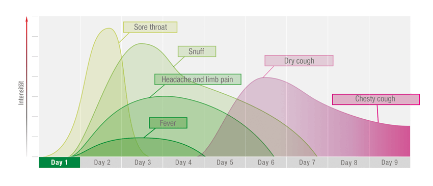 cold processing graphic English 72 dpi