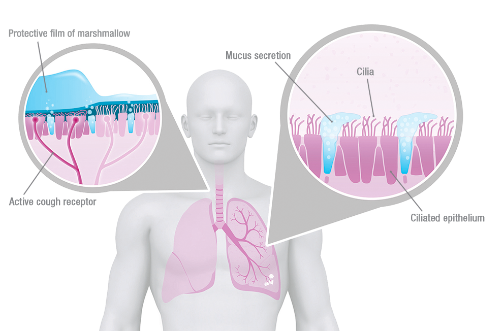 illustration lung effects